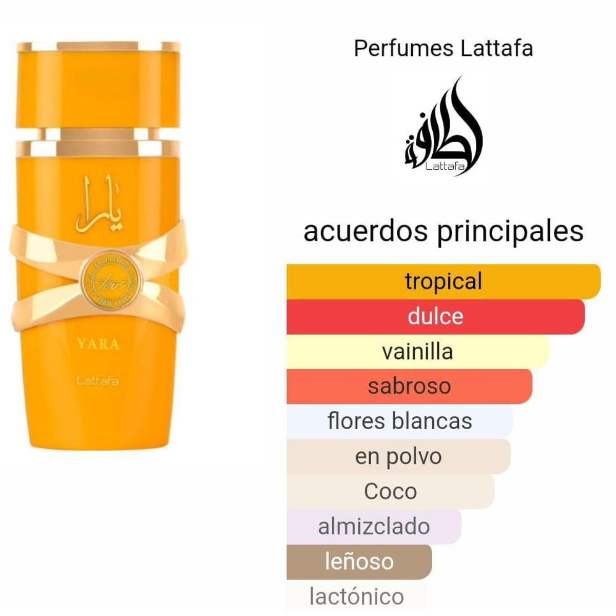 YARA TOUS LATTAFA FRAGRANTICA MUJER: La Fragancia Ideal en Onlineshoppingcenterg Descubre YARA TOUS LATTAFA FRAGRANTICA MUJER Si estás buscando comprar YARA TOUS LATTAFA FRAGRANTICA MUJER, has llegado al lugar indicado. Esta fragancia es conocida por su exquisito aroma y su elegante presentación, ideal para mujeres que buscan destacar en cualquier ocasión. En Onlineshoppingcenterg, te ofrecemos esta fragancia original y a los mejores precios.  ¿Por Qué Elegir YARA TOUS LATTAFA FRAGRANTICA MUJER? Notas de la Fragancia El Perfume Yara de Lattafa combina notas florales y frutales, creando un aroma fresco y duradero. Perfecto para uso diario o eventos especiales, este perfume te hará sentir única y segura de ti misma.  Variedades Disponibles Yara Tous Lattafa: La versión más popular, perfecta para cualquier ocasión. Yara Lattafa Blanco: Con un aroma suave y delicado, ideal para mujeres que prefieren fragancias ligeras. Lattafa Yara Moi: Una variante que resalta por su combinación de notas dulces y frescas. Beneficios de Comprar en Onlineshoppingcenterg Precios Competitivos En Onlineshoppingcenterg, ofrecemos YARA TOUS LATTAFA FRAGRANTICA MUJER a precios inigualables. Además, contamos con ofertas y descuentos especiales.  Envío Rápido y Seguro Nos aseguramos de que tu perfume llegue rápidamente y en perfectas condiciones. Ofrecemos envío seguro tanto a nivel nacional como internacional.  Opiniones de Clientes Las opiniones sobre YARA TOUS LATTAFA FRAGRANTICA MUJER son muy positivas. Nuestras clientas destacan la durabilidad del aroma y la calidad del producto.  Comparación de Fragancias Yara Lattafa Yara Tous Lattafa vs Yara Lattafa Blanco Yara Tous Lattafa: Ideal para quienes buscan una fragancia intensa y duradera. Yara Lattafa Blanco: Perfecto para quienes prefieren un aroma más suave y delicado.